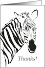 Thank You Zebra Winking card