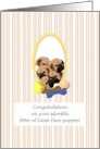 Congratulations on Litter of Great Dane Puppies card