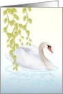 Birthday Graceful Swan On The Water card
