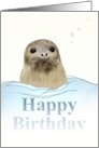 Cute Seal Birthday Seal In Open Waters card