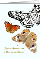 Papillon Birthday Pretty Butterflies card