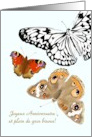 Papillon Birthday Pretty Butterflies card