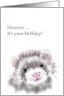 Birthday, inquisitive ferret card