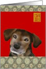 Birthday Year of The Dog Chinese Zodiac The Faithful Dog card
