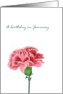 Birthday in January Carnation Birth Month Flower Pink Carnation card