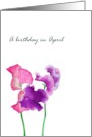 Birthday in April Sweet Pea Birth Month Flower Sweet Peas card