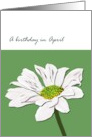Birthday in April Daisy Birth Month Flower Pretty Daisy card