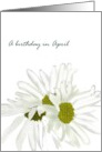 Birthday in April Daisy Birth Month Flower Pretty White Daisies card