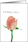 Birthday in June Rose Birth Month Flower Pretty Pink Rose card