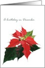 Birthday in December Poinsettia Birth Month Flower Poinsettias card