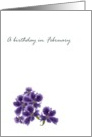 Birthday in February Violet Birth Month Flower Pretty Violets card