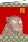 Birthday Year of The Monkey Chinese Zodiac The Inquisitive Monkey card