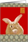 Birthday Year of The Rabbit Chinese Zodiac The Alert Rabbit card