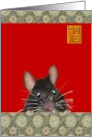 Birthday Year of the Rat Chinese Zodiac The Curious Roof Rat card