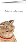 Happy Purrday Cat in Red Collar Birthday card