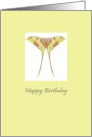 Birthday Moon Moth card