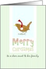 Christmas for Aunt and Family Bird Wearing Santa Hat card