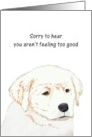 Get Well Labrador Puppy Looking Glum card