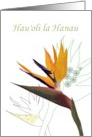 Hau’oli la Hanau Hawaiian Birthday Greeting Strelitzia Flower card