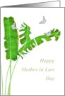 Mother in Law Day from Daughter in Law, Banana Tree and Butterflies card