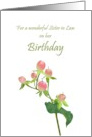 Birthday Sister in Law Fruits of the Hypericum St John’s Wort card