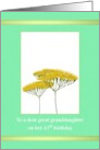 Great Granddaughter 21st Birthday Yellow Achillea card