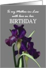 Birthday for Mother-in-Law Pretty Irises Black Checkered Background card