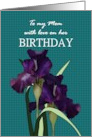 Birthday for Mom Pretty Deep Purple Irises card