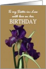 Birthday for Sister-in-Law Pretty Irises Brown Checkered Background card
