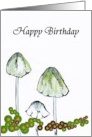 Birthday Hand Drawn Illustration Of Mushrooms card