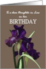 Birthday for Daughter in Law Pretty Irises on Grey Background card