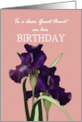 Birthday for Great Aunt Pretty Irises on Patterned Pink Background card