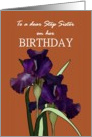 Birthday for step sister, pretty irises on patterned brown background card