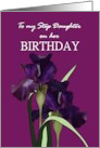 Birthday Step Daughter Pretty Irises on Patterned Purple Background card