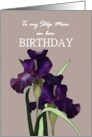 Birthday Step Mom Pretty Irises on Patterned Grey Background card
