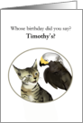 Birthday Parrot Talking To Cat Custom card