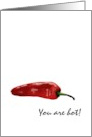 You Are Hot Red Chili Pepper card