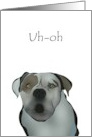 Fun Illustration Of a Dog Saying Uh-oh Get Well Feel Better card