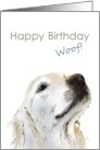 Birthday Fun Sketch Of Labrador card
