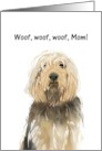 Mother’s Day Greeting From Pet Otterhound card