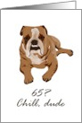 65th Birthday Sketch of Boxer Dog Lying Down card
