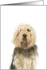 Otterhound dog, blank card