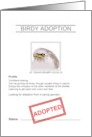 Congratulations On Adopting Bird From Shelter Adoption Papers card