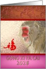 Chinese new year of the monkey 2028, profile of a monkey and luck card