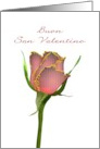 Valentine’s Day in Italian Pretty Red Rose Buon San Valentino card