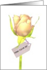 Valentine’s Day in Hebrew, pretty yellow pink rose card