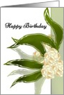 Birthday abstract white flower clusters and tapering leaves card