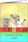 Chinese New Year of the Dog 2030 Cute Dogs Wearing Luck Charms card