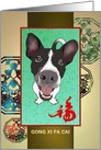 Chinese new year of the dog, cute dog and luck card