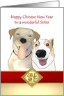 Chinese new year greeting for sister, two happy dogs and luck card